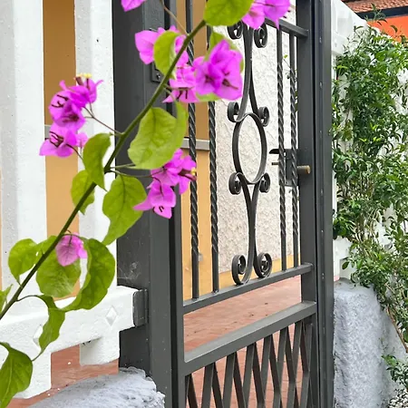 Giuliana'S House By The Sea In Tuscany Torre del Lago Puccini Exterior foto