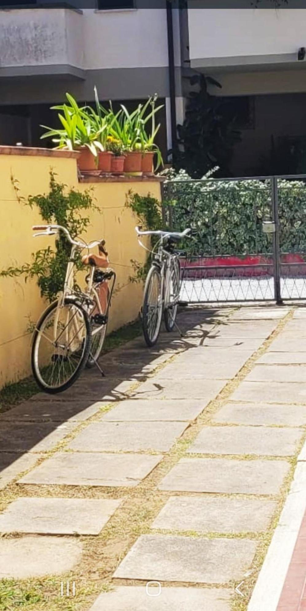 Giuliana's House By The Sea In Tuscany * Torre del Lago Puccini