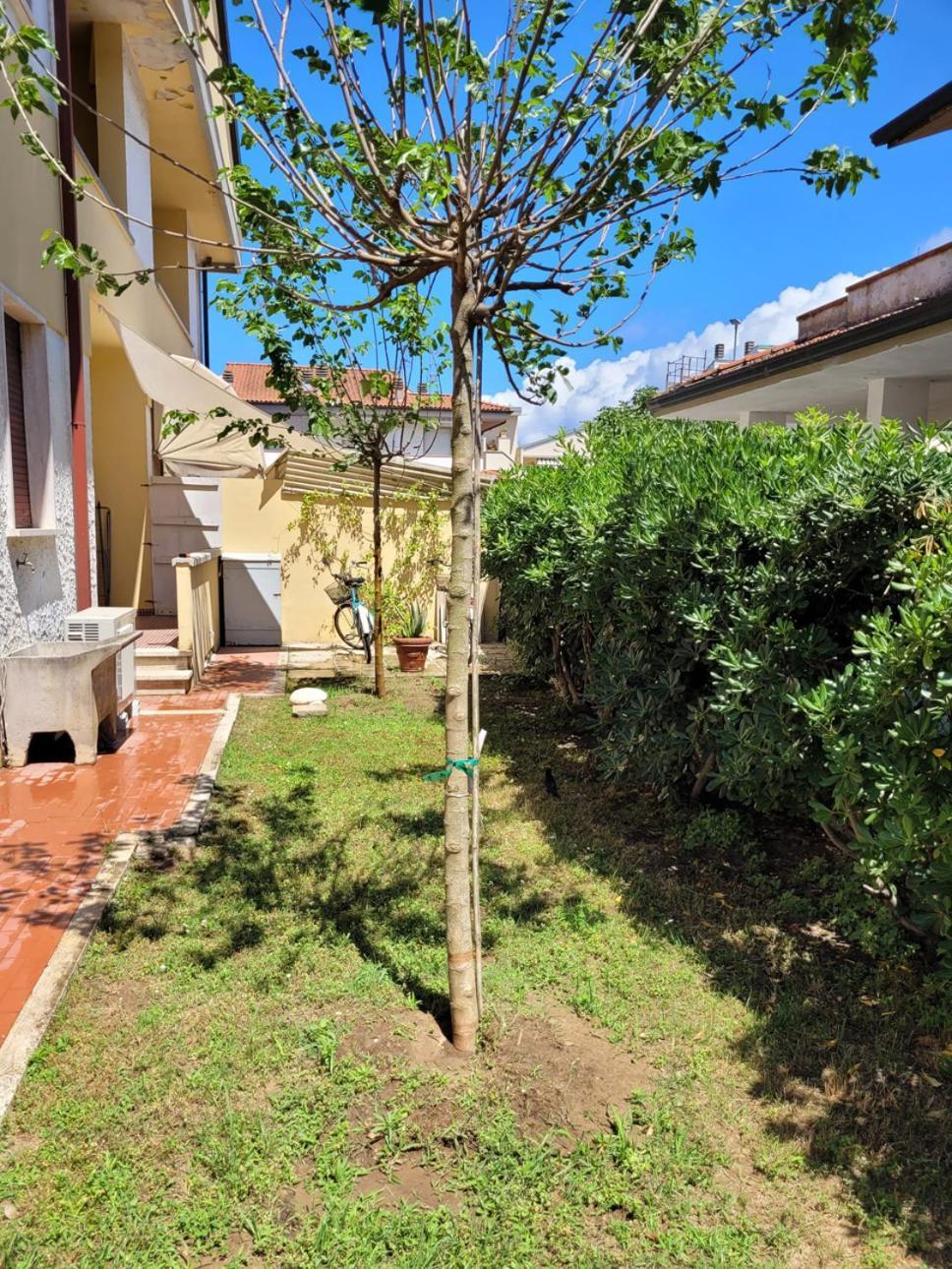Giuliana's House By The Sea In Tuscany Holiday home Torre del Lago Puccini